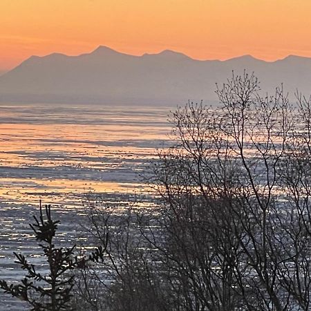 Frenchy'S Adventure Bed And Breakfast Anchorage Exterior foto